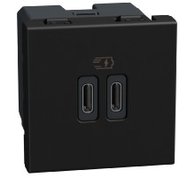 Bticino Light Now - двойная USB розетка, 2 x Type-C 30W, 2 модуля, цвет черный - YD4293CC
