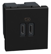 Bticino Light Now - двойная USB розетка, 2 x Type-C 30W, 2 модуля, цвет черный - YD4293CC
