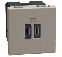 Bticino Light Now - двойная USB розетка, 2 x Type-C 30W, 2 модуля, цвет камень - YG4293CC
