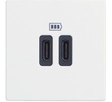 Розетка зарядное устройство USB 2 разъёма тип - C/тип - C 3000мА - 2 модуля. Цвет Белый. Bticino серия CLASSIA. RW4286C2