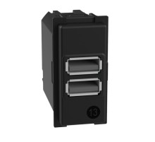 Механизм зарядного устройства USB 2 разъёма тип - A/A 15 Вт/3000мА 1 модуль. Bticino серия Living Now. K4191AA