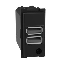 Механизм зарядного устройства USB 2 разъёма тип - A/A 15 Вт/3000мА 1 модуль. Bticino серия Living Now. K4191AA