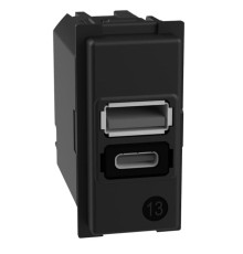 Механизм зарядного устройства USB 2 разъёма тип - A/C 15 Вт/3000мА 1 модуль. Bticino серия Living Now. K4191AC