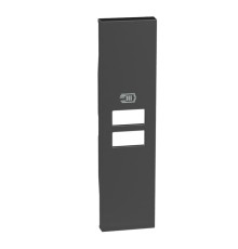 Лицевая панель двойной USB зарядки 1 модуль. Цвет Чёрный. Bticino серия Living Now. KG13C