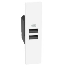 Розетка зарядное устройство USB 2 разъёма тип - A/A 15 Вт/3000мА 1 модуль. Цвет Белый. Bticino серия Living Now. K4191AA+KW13C