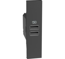 Розетка зарядное устройство USB 2 разъёма тип - A/A 15 Вт/3000мА 1 модуль. Цвет Чёрный. Bticino серия Living Now. K4191AA+KG13C