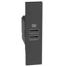 Розетка зарядное устройство USB 2 разъёма тип - A/A 15 Вт/3000мА 1 модуль. Цвет Чёрный. Bticino серия Living Now. K4191AA+KG13C