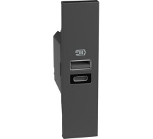 Розетка зарядное устройство USB 2 разъёма тип - A/C 15 Вт/3000мА 1 модуль. Цвет Чёрный. Bticino серия Living Now. K4191AC+KG13C