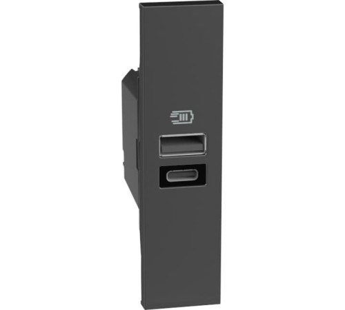Розетка зарядное устройство USB 2 разъёма тип - A/C 15 Вт/3000мА 1 модуль. Цвет Чёрный. Bticino серия Living Now. K4191AC+KG13C