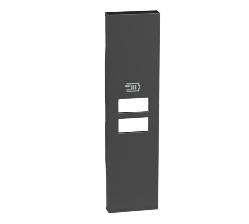 Розетка зарядное устройство USB 2 разъёма тип - C/C 15 Вт/3000мА 1 модуль. Цвет Чёрный. Bticino серия Living Now. K4191CC+KG13C